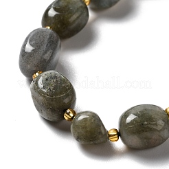 Natural Labradorite Beads Strands&nbsp;G-B028-B04