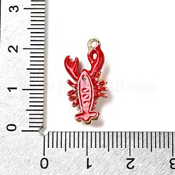 Zinc Alloy Enamel Pendants&nbsp;X-FIND-I044-17A-1