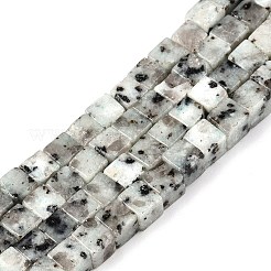 Natural Sesame Jasper/Kiwi Jasper Beads Strands&nbsp;G-T139-6x6-01A