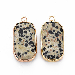 Natural Dalmatian Jasper Pendants&nbsp;G-S359-292C