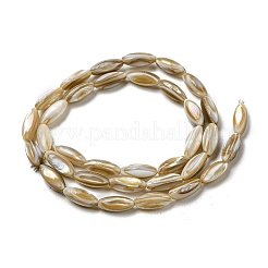 Natural Freshwater Shell Beads Strands&nbsp;SHEL-C005-04