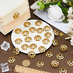 30Pcs Brass Bead Caps&nbsp;KK-FH0008-34G