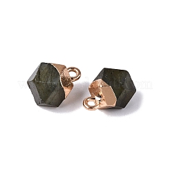 Natural Labradorite Pendants&nbsp;G-N359-18G-02