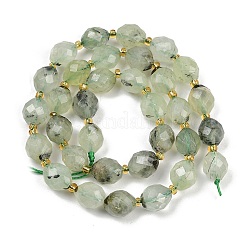 Natural Prehnite Beads Strands&nbsp;G-N342-149I-25