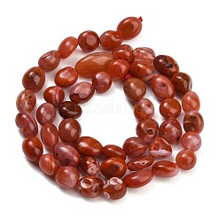 Natural Red Agate(Dyed & Heated) Beads Strands&nbsp;G-C287-A01-02