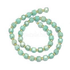 Natural Amazonite Beads Strands&nbsp;G-I376-D22-01