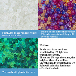 800Pcs Transparent Plastic Beads&nbsp;KY-PA0001-19B
