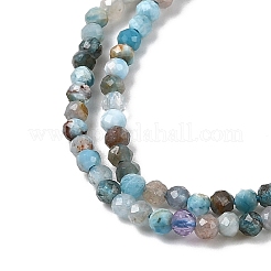 Natural Apatite Beads Strands&nbsp;G-K366-C05-2mm