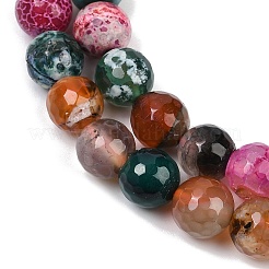 Natural Fire Crackle Agate(Dyed & Heated) Beads Strands&nbsp;G-M437-A01-01L
