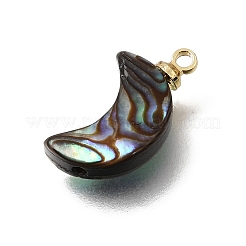 Natural Abalone Shell Pendants&nbsp;SH-CJC0AC7-01E-G