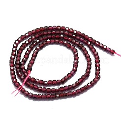 Grade A Natural Garnet Beads Strands&nbsp;G-P457-B01-39