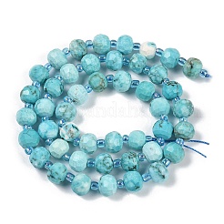 Dyed Natural Howlite Beads Strands&nbsp;G-H057-A18-01