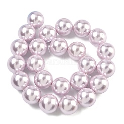 Electroplated Shell Pearl Beads Strands&nbsp;BSHE-G041-16mm-06