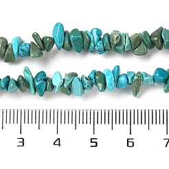 Natural Turquoise Chip Beads Strands&nbsp;G-D093-A01