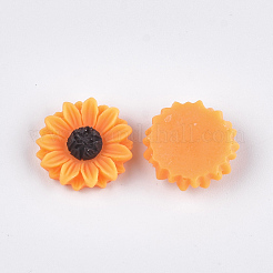 Resin Cabochons&nbsp;CRES-T010-60