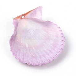 Natural Shell Display Decorations&nbsp;DJEW-WH0032-37