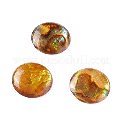 Paua Shell Cabochons&nbsp;SSHEL-C008-08-1