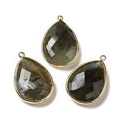 Faceted Natural Labradorite Pendants&nbsp;X-G-M356-B02-LG