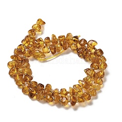 Natural Amber Beads Strands&nbsp;G-L095-K01-02