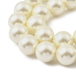 Round Shell Pearl Beads Strands&nbsp;BSHE-XCP0001-25C-02