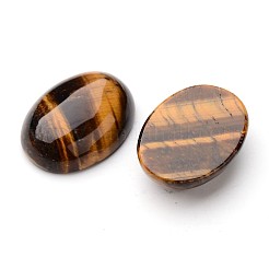 Natural Tiger Eye Oval Cabochons&nbsp;G-L394-06-25x18mm