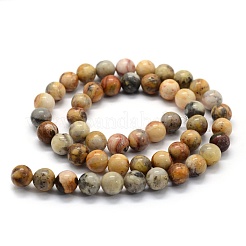 Natural Crazy Lace Agate Beads Strands&nbsp;G-G763-10-8mm