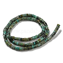 Natural African Turquoise(Jasper) Beads Strands&nbsp;G-C084-D03-01