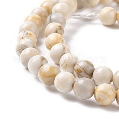 Natural HuBei Turquoise Beads Strands&nbsp;G-K317-A08-03