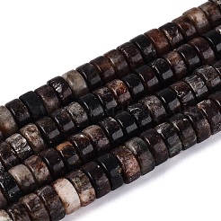 Natural Biotite Beads Strands&nbsp;G-N367-03A-13