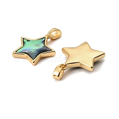 Natural Paua Shell Star Pendants&nbsp;KK-G538-25G