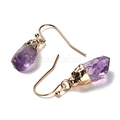 Natural Amethyst Dangle Earrings&nbsp;EJEW-G413-01B-G