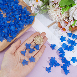 150Pcs Transparent Acrylic Beads&nbsp;OACR-PA0002-05A