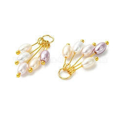 Electroplated Shell Pearl Pendants&nbsp;PALLOY-JF05645