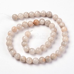 Round Natural Crazy Lace Agate Beaded Strands&nbsp;G-L374-01-12mm