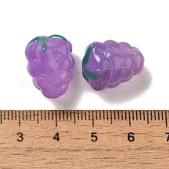 Handmade Lampwork Beads Strands&nbsp;LAMP-G162-05G