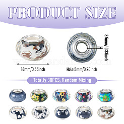 30Pcs Printed Transparent Resin European Beads&nbsp;RESI-TADJ0001-03A