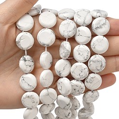 Natural Howlite Beads Strands&nbsp;G-L648-B17-15mm
