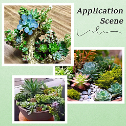 PVC Artificial Succulent Plant&nbsp;AJEW-SP0004-35B