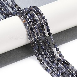 Natural Iolite Beads Strands&nbsp;X-G-G139-A11-03