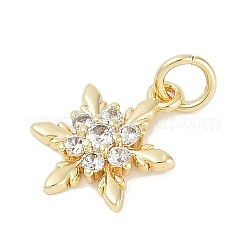 Rack Plating Brass Micro Pave Cubic Zirconia Pendants&nbsp;KK-H509-12G-02