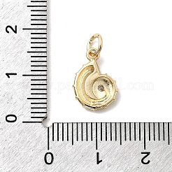 Brass Micro Pave Cubic Zirconia Pendants&nbsp;KK-H089-08G