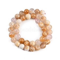 Natural Cherry Blossom Agate Beads Strands&nbsp;G-H062-A02-03
