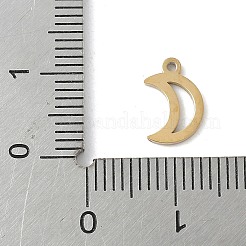 304 Stainless Steel Charms&nbsp;STAS-K306-17A-G