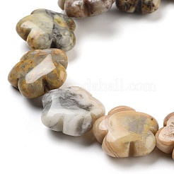 Natural Crazy Agate Beads Strands&nbsp;G-F769-M01-01