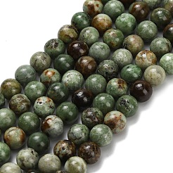 Natural Green Opal Beads Strands&nbsp;G-L642-B14-6mm