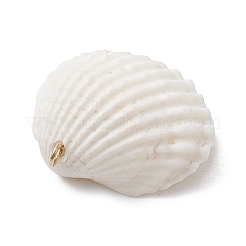 5Pcs 5 Colors Shell Pendants&nbsp;PALLOY-JF02976