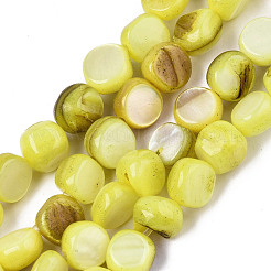 Natural Freshwater Shell Beads Strands&nbsp;SHEL-S276-110A-M