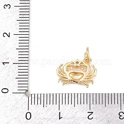 Brass Micro Pave Clear Cubic Zirconia Pendants&nbsp;KK-H273-36A-G