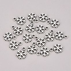 Tibetan Style Alloy Pendants&nbsp;TIBEP-E012-AS-FF