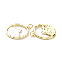 Brass Pendants&nbsp;KK-L188-31G